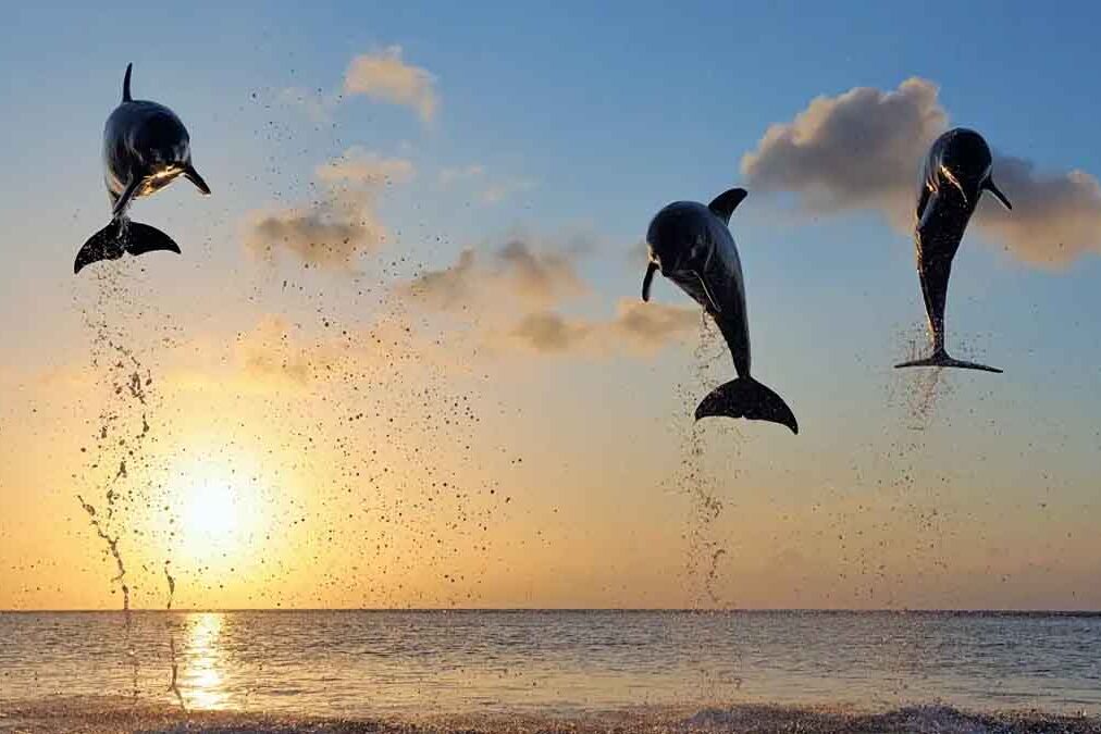 How Travelling Can Help You Disconnect From Bad Habits