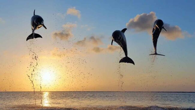 How Travelling Can Help You Disconnect From Bad Habits