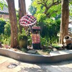 Drug Rehab Facilities Adelaide