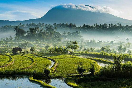 Drug Rehab Gold Coast